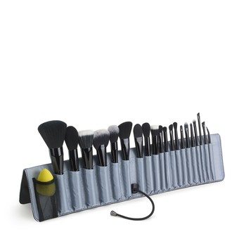 Classified Brush Collection - Pro Artist