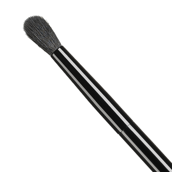 Classified Pointed Blender Brush #10